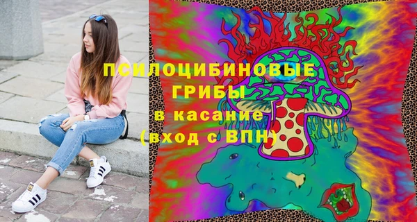 твердый Балахна