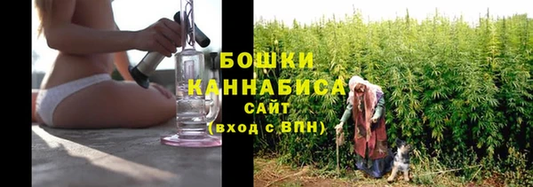 твердый Балахна