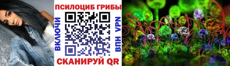 Псилоцибиновые грибы MAGIC MUSHROOMS  где продают   Черепаново 